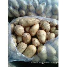 2015 New Crop High Quality Fresj Potato